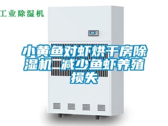 知識百科小黃魚對蝦烘干房除濕機 減少魚蝦養(yǎng)殖損失