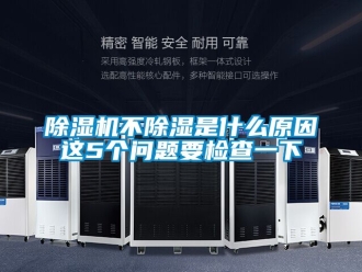 企業新聞除濕機不除濕是什么原因這5個問題要檢查一下