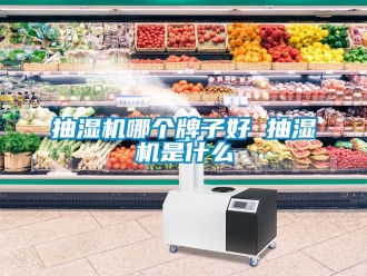 企業新聞抽濕機哪個牌子好 抽濕機是什么