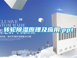 常見問題轉(zhuǎn)輪除濕原理及應(yīng)用.ppt