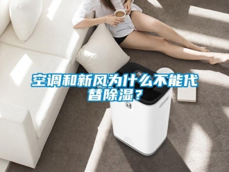 行業新聞空調和新風為什么不能代替除濕？