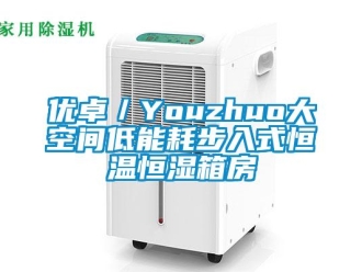 知識百科優卓／Youzhuo大空間低能耗步入式恒溫恒濕箱房
