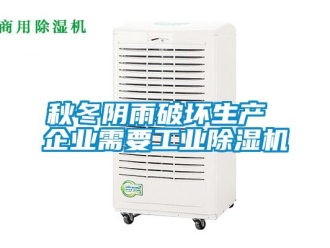行業新聞秋冬陰雨破壞生產 企業需要工業除濕機