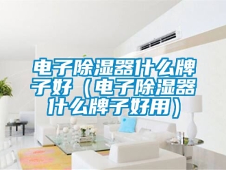 行業新聞電子除濕器什么牌子好（電子除濕器什么牌子好用）