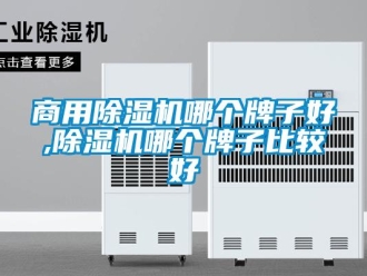 常見問題商用除濕機哪個牌子好,除濕機哪個牌子比較好