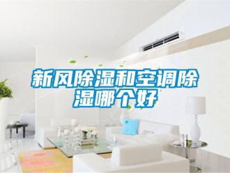 企業新聞新風除濕和空調除濕哪個好