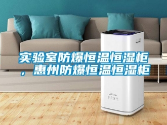 知識(shí)百科實(shí)驗(yàn)室防爆恒溫恒濕柜，惠州防爆恒溫恒濕柜