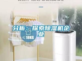 企業新聞分析：探索除濕機企業