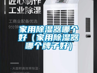 行業新聞家用除濕器哪個好（家用除濕器哪個牌子好）