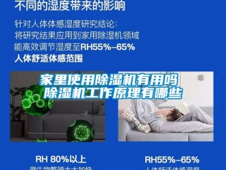 行業(yè)新聞家里使用除濕機(jī)有用嗎 除濕機(jī)工作原理有哪些