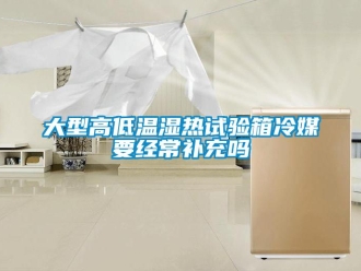 常見問題大型高低溫濕熱試驗箱冷媒要經(jīng)常補充嗎
