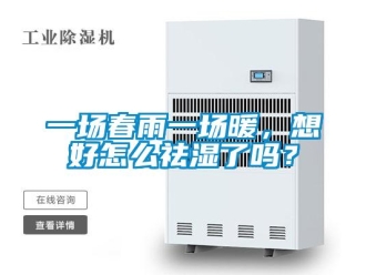 常見問題一場春雨一場暖，想好怎么祛濕了嗎？