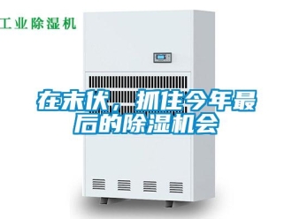 行業(yè)新聞在末伏，抓住今年最后的除濕機(jī)會(huì)