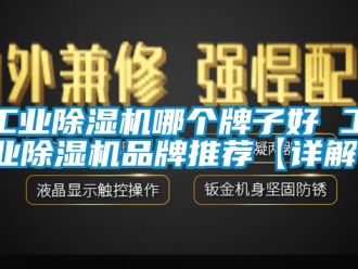 常見問題工業除濕機哪個牌子好 工業除濕機品牌推薦【詳解】
