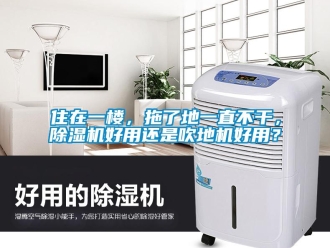 行業新聞住在一樓，拖了地一直不干，除濕機好用還是吹地機好用？