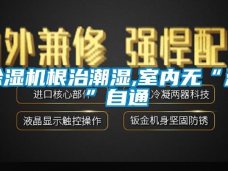 常見問題除濕機(jī)根治潮濕,室內(nèi)無“濕”自通