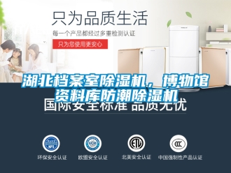行業新聞湖北檔案室除濕機，博物館資料庫防潮除濕機