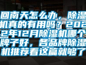 企業(yè)新聞回南天怎么辦，除濕機真的有用嗎？2022年12月除濕機哪個牌子好，各品牌除濕機推薦看這篇就夠了