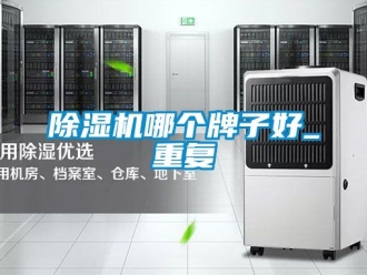 行業(yè)新聞除濕機(jī)哪個(gè)牌子好_重復(fù)