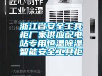 知識百科浙江省安全工具柜廠家供應配電站專用恒溫除濕智能安全工具柜