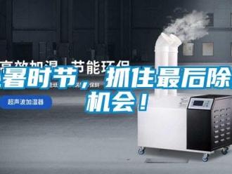 行業新聞處暑時節，抓住最后除濕機會！