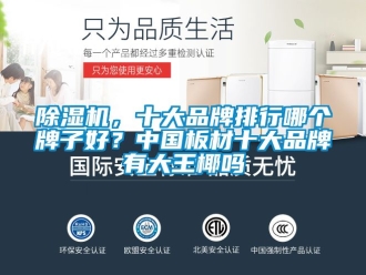 企業(yè)新聞除濕機，十大品牌排行哪個牌子好？中國板材十大品牌有大王椰嗎