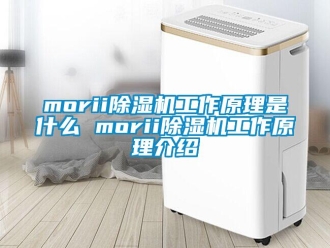 企業新聞morii除濕機工作原理是什么 morii除濕機工作原理介紹