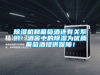 行業新聞除濕機和葡萄酒還有關系喲！酒窖中的除濕為優質葡萄酒提供保障！