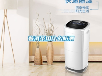 常見問(wèn)題普洱茶用什么防潮