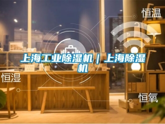 常見問題上海工業除濕機｜上海除濕機