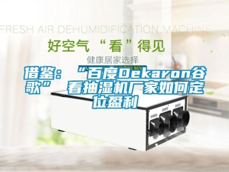 常見問(wèn)題借鑒：“百度Dekaron谷歌” 看抽濕機(jī)廠家如何定位盈利