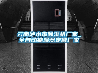 企業(yè)新聞云南瀘水市除濕機廠家_全自動抽濕器定做廠家