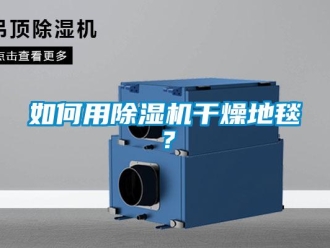 常見(jiàn)問(wèn)題如何用除濕機(jī)干燥地毯？