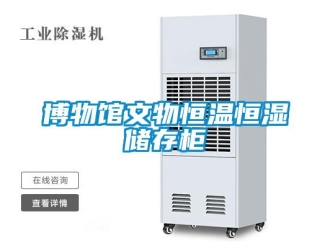 知識(shí)百科博物館文物恒溫恒濕儲(chǔ)存柜