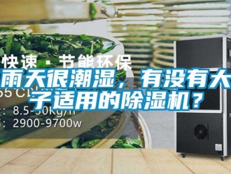 行業新聞下雨天很潮濕，有沒有大房子適用的除濕機？