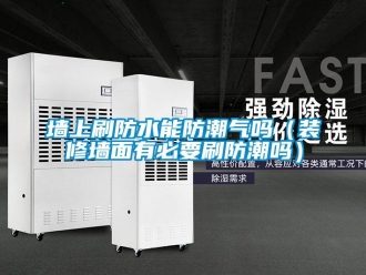 常見問題墻上刷防水能防潮氣嗎（裝修墻面有必要刷防潮嗎）