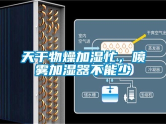 知識百科天干物燥加濕忙，噴霧加濕器不能少