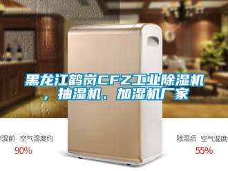 企業(yè)新聞黑龍江鶴崗CFZ工業(yè)除濕機(jī)，抽濕機(jī)、加濕機(jī)廠家