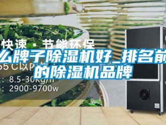 企業新聞什么牌子除濕機好_排名前五的除濕機品牌