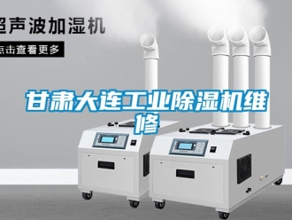 常見問題甘肅大連工業(yè)除濕機(jī)維修
