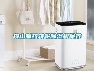 常見問題舟山制藥轉(zhuǎn)輪除濕機保養(yǎng)
