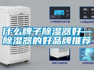行業(yè)新聞什么牌子除濕器好—除濕器的好品牌推薦
