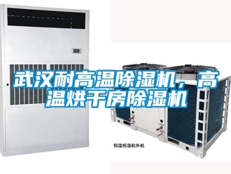 行業新聞武漢耐高溫除濕機，高溫烘干房除濕機