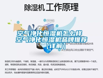 知識百科空氣凈化恒濕機怎么樣 空氣凈化恒濕機品牌推薦【詳解】