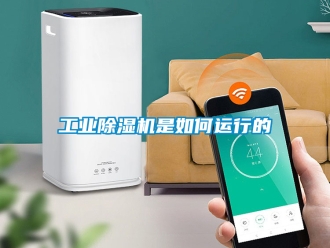 常見問題工業除濕機是如何運行的
