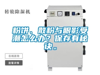 常見問題粉餅、散粉與眼影受潮怎么辦？保存有秘訣。