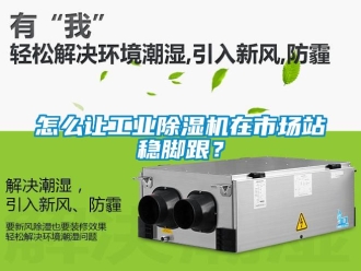 常見問題怎么讓工業除濕機在市場站穩腳跟？
