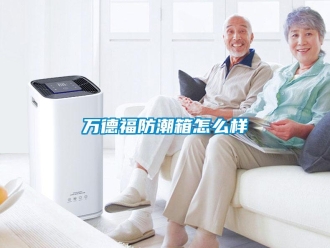 常見問題萬德福防潮箱怎么樣