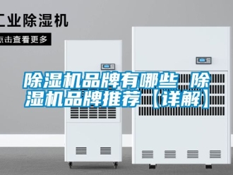 企業(yè)新聞除濕機(jī)品牌有哪些 除濕機(jī)品牌推薦【詳解】