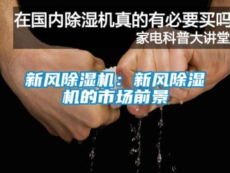 常見問題新風除濕機：新風除濕機的市場前景